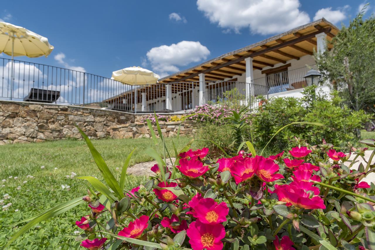 Case Vacanze Nioleo - Apartments And Pool ซินิสโกลา ภายนอก รูปภาพ